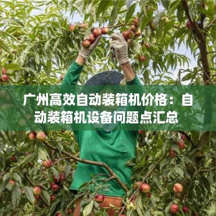 广州高效自动装箱机价格：自动装箱机设备问题点汇总 