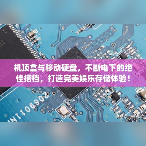 存证 第199页