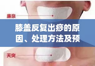 存证 第195页
