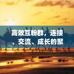 高效互粉群，连接、交流、成长的聚集地，打造个人品牌新篇章！