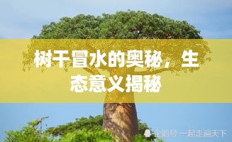 独一无二 第2页