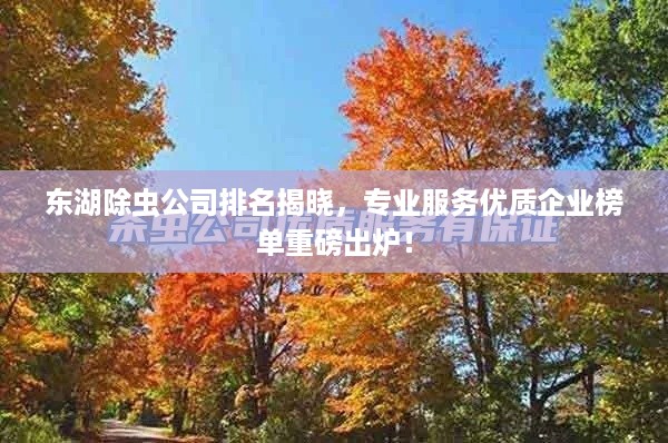 还淳反素 第2页