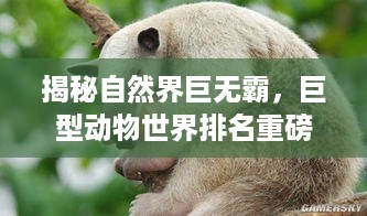 矫枉过正 第2页