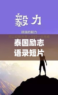 存证 第168页