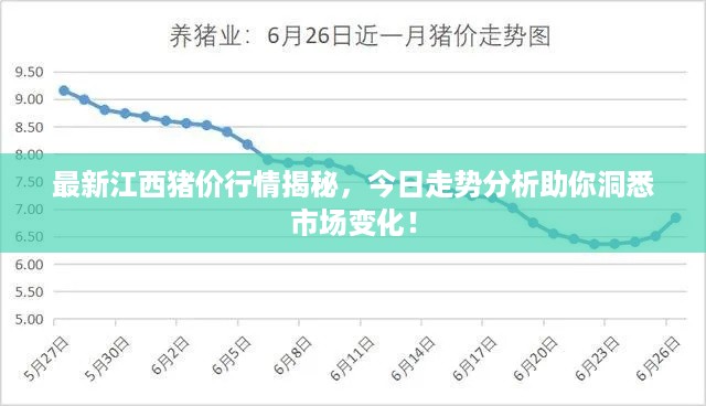 纲举目张 第2页