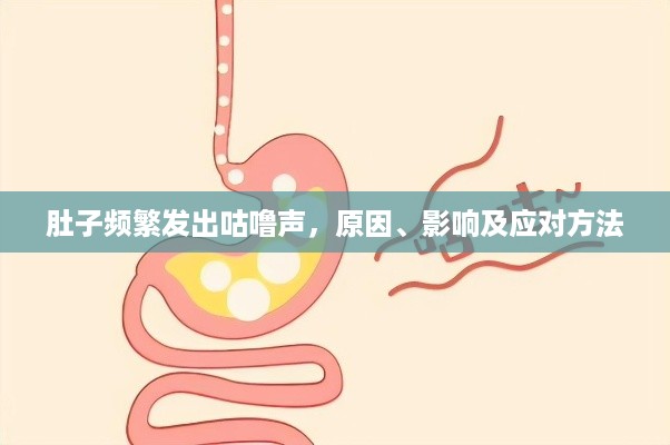 坌鸟先飞 第2页