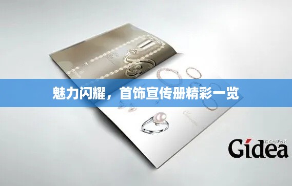 zhizhengzhaoxi 第2页