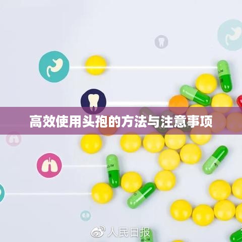 存证 第140页