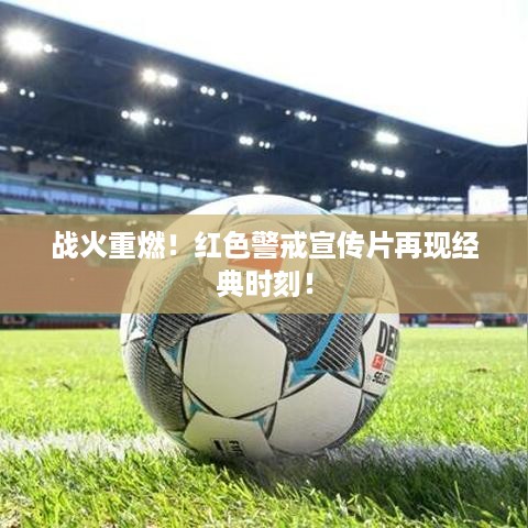 存证 第117页