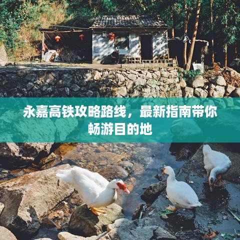 存证 第105页