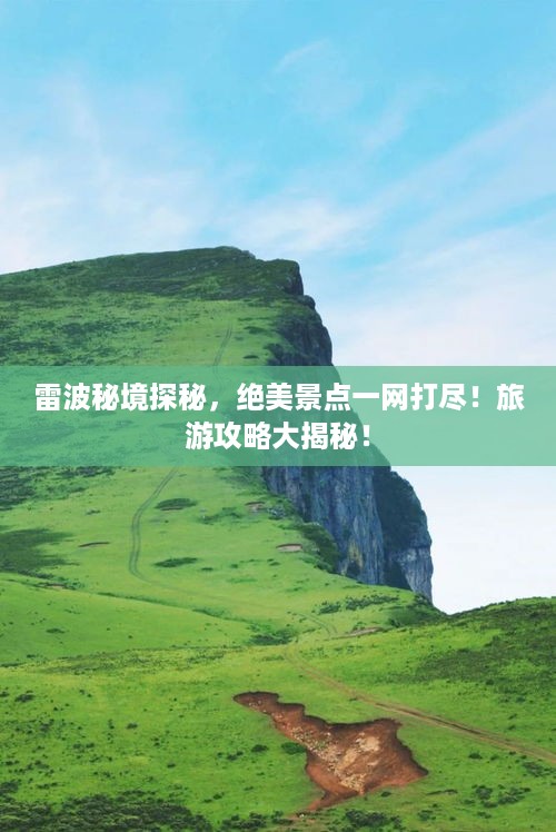 取证 第98页