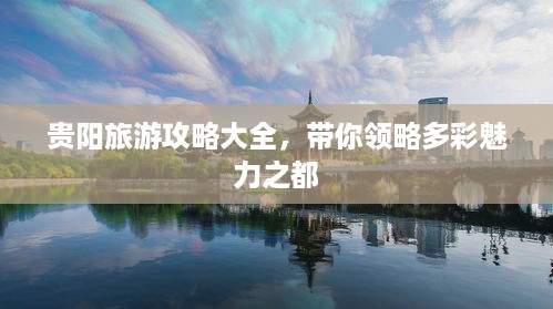 公证管理 第80页