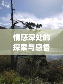 情感深处的探索与感悟，爱的潮水涌动心灵之旅