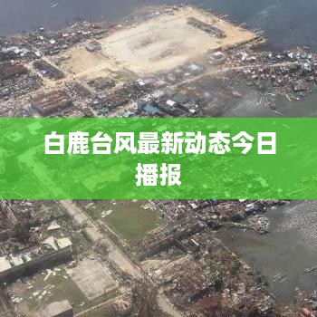 以卵就石