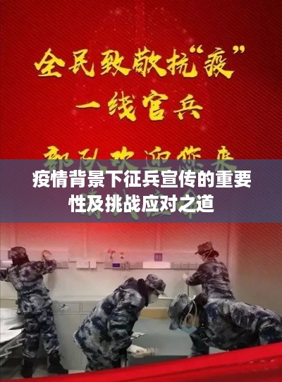 公证管理 第42页