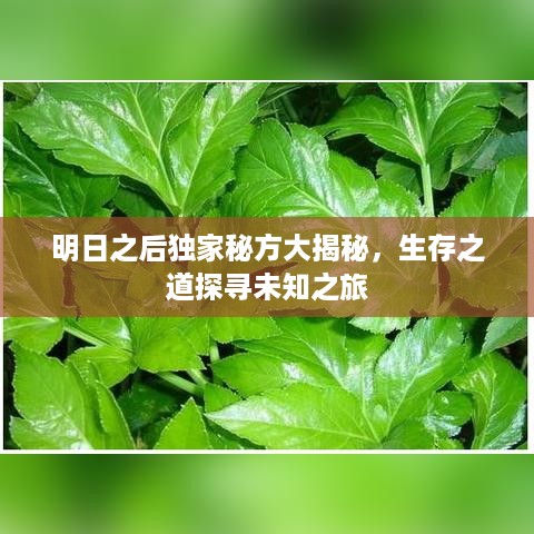 小鸟依人