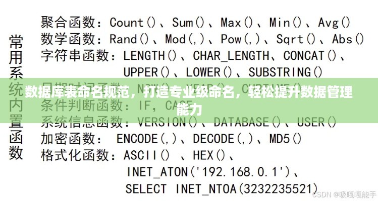 公证管理 第40页