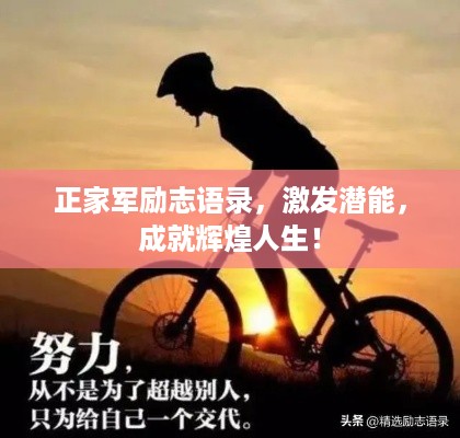 存证 第30页