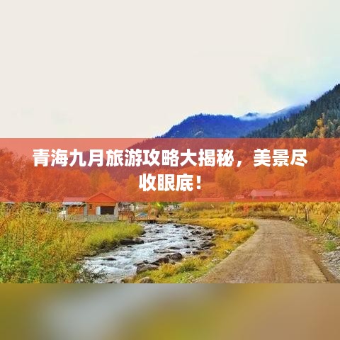 取证 第20页