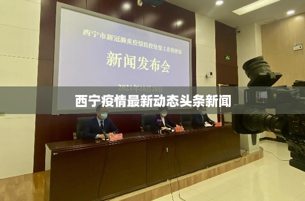 存证 第14页