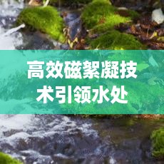 公证管理 第9页