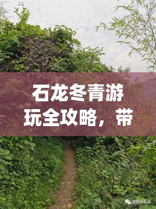存证 第8页