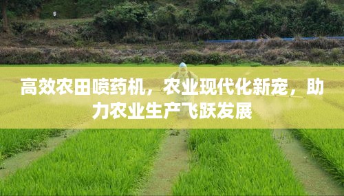 公证管理 第5页