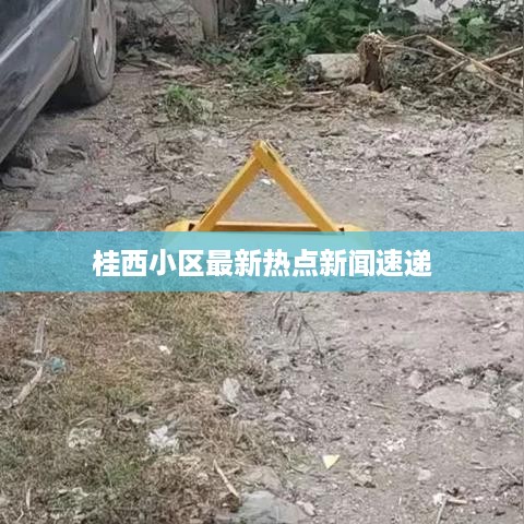 取证 第6页