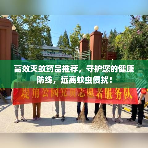 高效灭蚊药品推荐，守护您的健康防线，远离蚊虫侵扰！