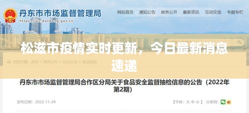 松滋市疫情实时更新，今日最新消息速递