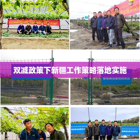 双减政策下新疆工作策略落地实施