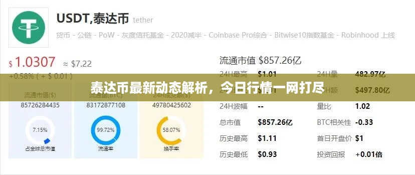泰达币最新动态解析，今日行情一网打尽