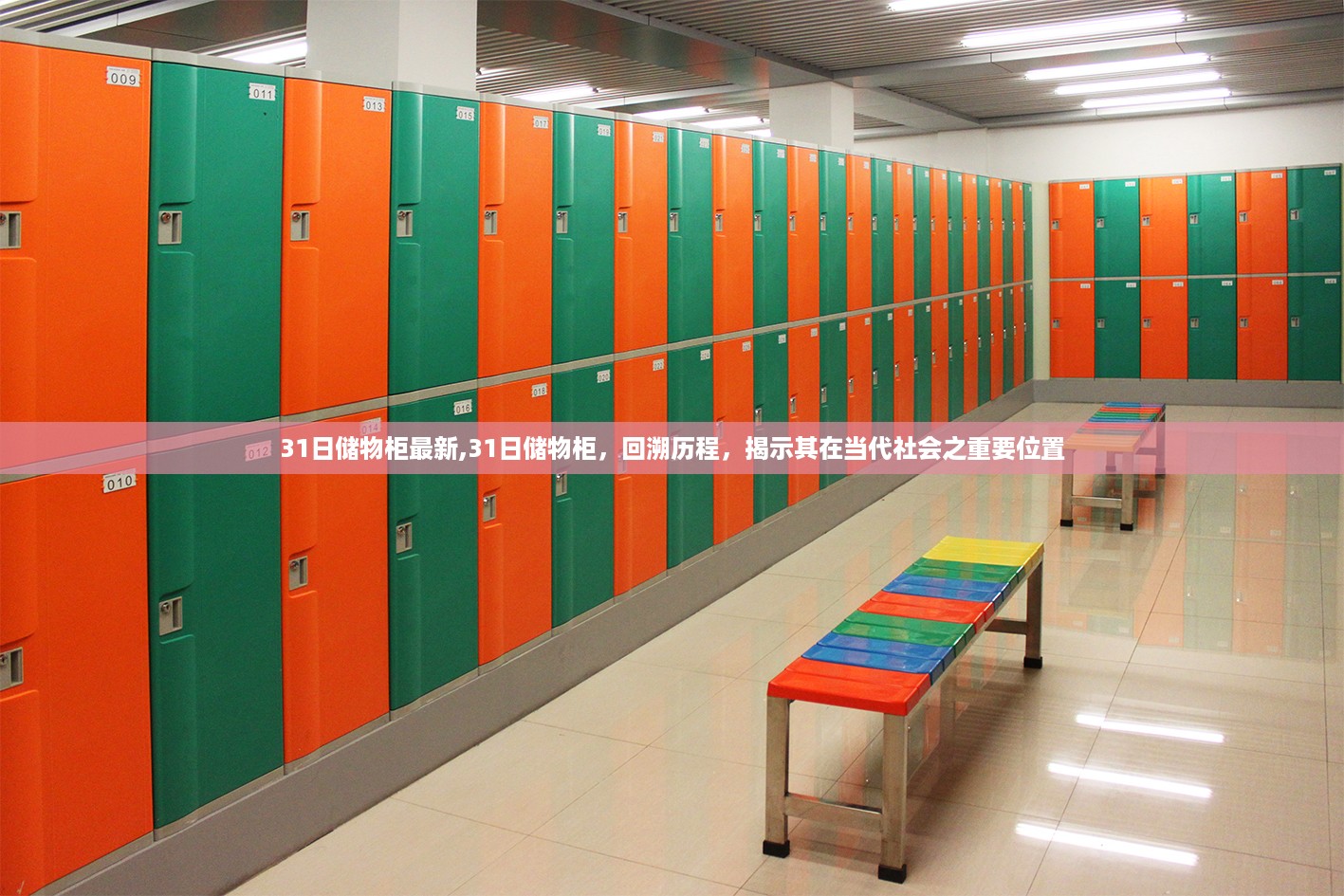 回溯历程揭示当代社会重要位置,最新31日储物柜概览