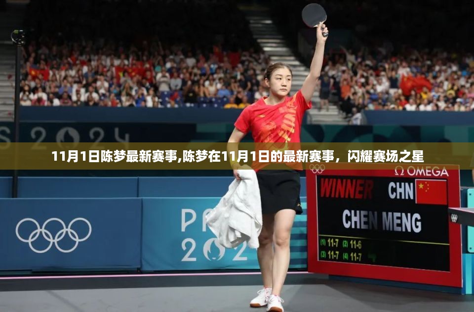 陈梦闪耀赛场之星,最新赛事回顾与表现分析(日期,11月1日)