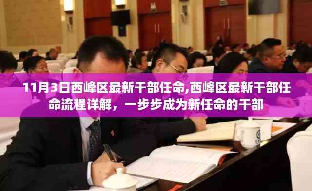 西峰区最新干部任命详解,从选拔到上任的全程揭秘