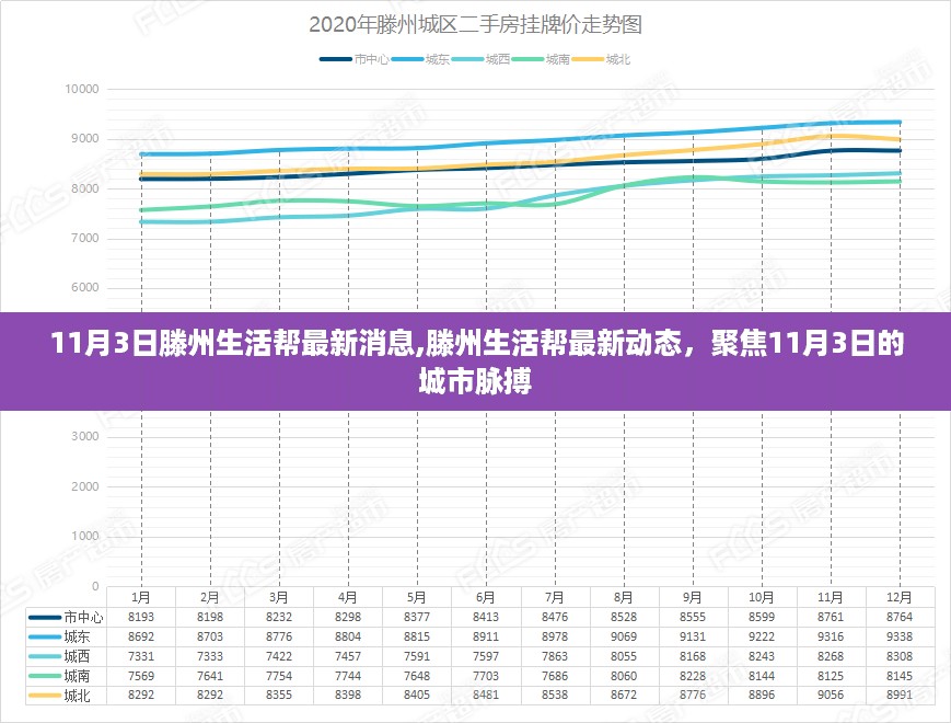 11月3日滕州生活帮最新动态,城市脉搏的聚焦