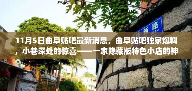 公证管理 第1266页