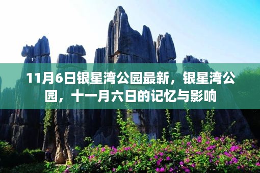银星湾公园十一月六日的记忆与影响回顾