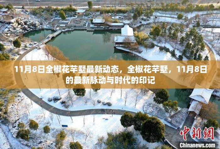 全椒花芊墅最新动态,时代印记下的脉动(11月8日更新)