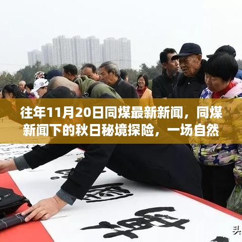 houniaonanfei 第12页