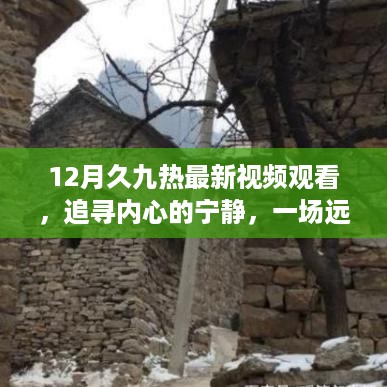 神采奕奕 第8页