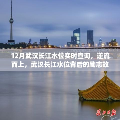 dazhangqigu 第5页