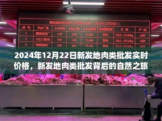 花开无言 第4页