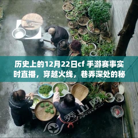 历史上的十二月二十二日CF手游赛事深度解析,巷弄深处的秘密赛场实时直播纪实