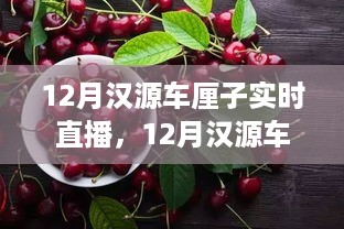 jujinghuishen 第3页