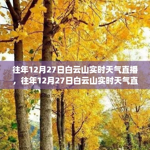 mozhangdaozhi 第3页