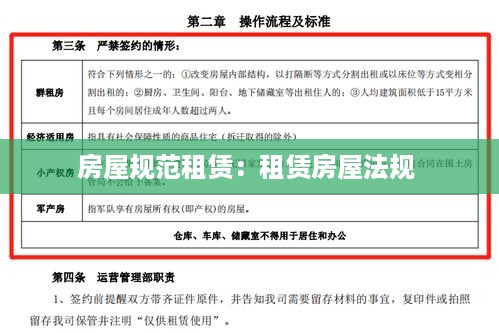 展翅高飞 第3页