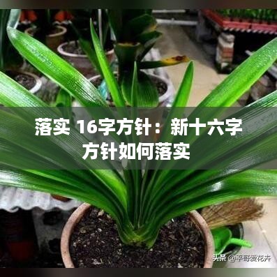 贵卖贱买 第3页