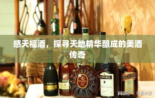 感天福酒，探寻天地精华酿成的美酒传奇