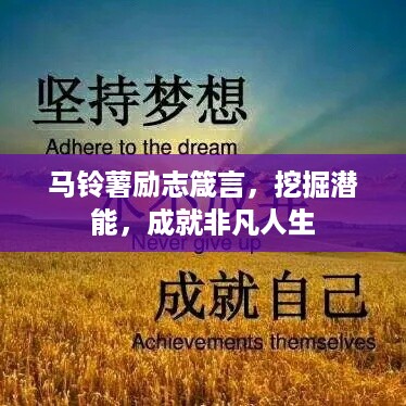 马铃薯励志箴言,挖掘潜能,成就非凡人生